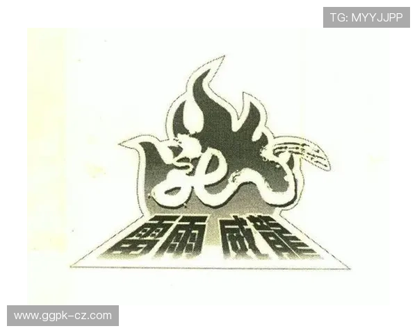 威龙国际:坚持诚信经营理念,赢得客户广泛信赖与合作伙伴的高度评价